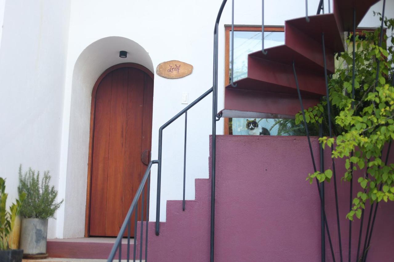 Cherry Suites Dalat Екстер'єр фото